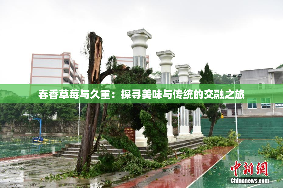 春香草莓与久重：探寻美味与传统的交融之旅