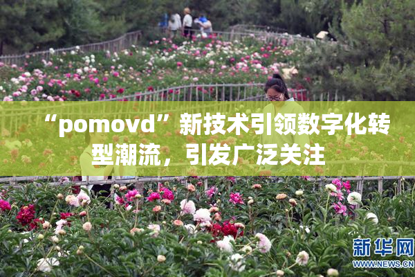 “pomovd”新技术引领数字化转型潮流，引发广泛关注