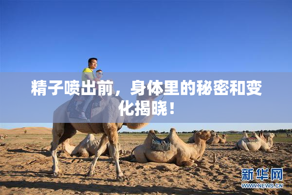 精子喷出前，身体里的秘密和变化揭晓！