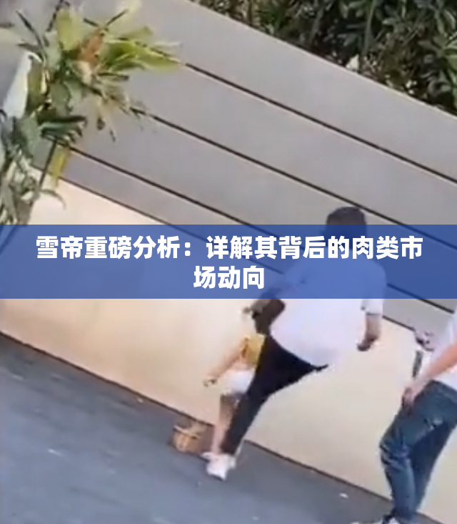 雪帝重磅分析：详解其背后的肉类市场动向