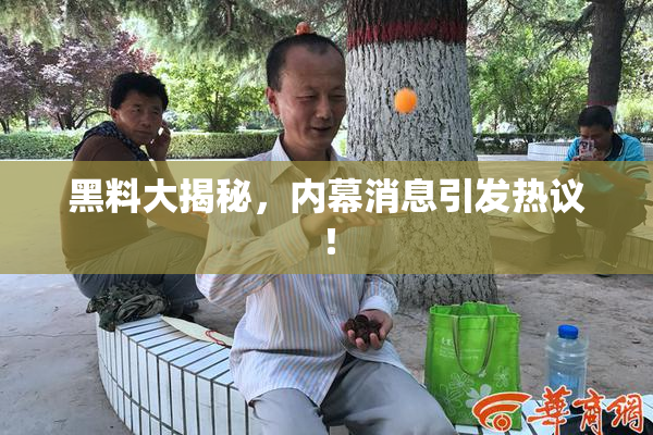 黑料大揭秘，内幕消息引发热议！