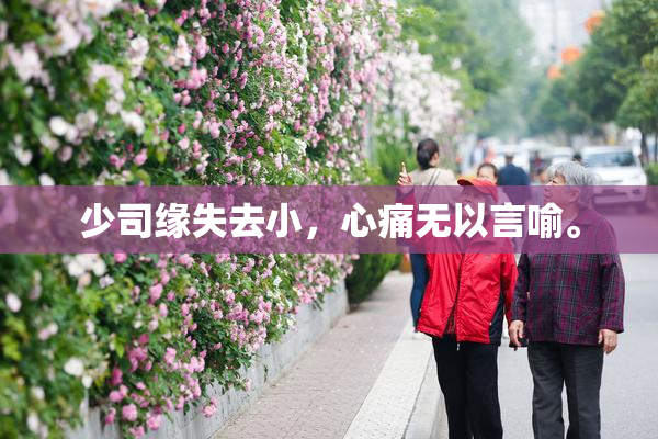 少司缘失去小，心痛无以言喻。
