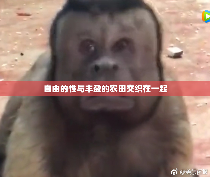 自由的性与丰盈的农田交织在一起