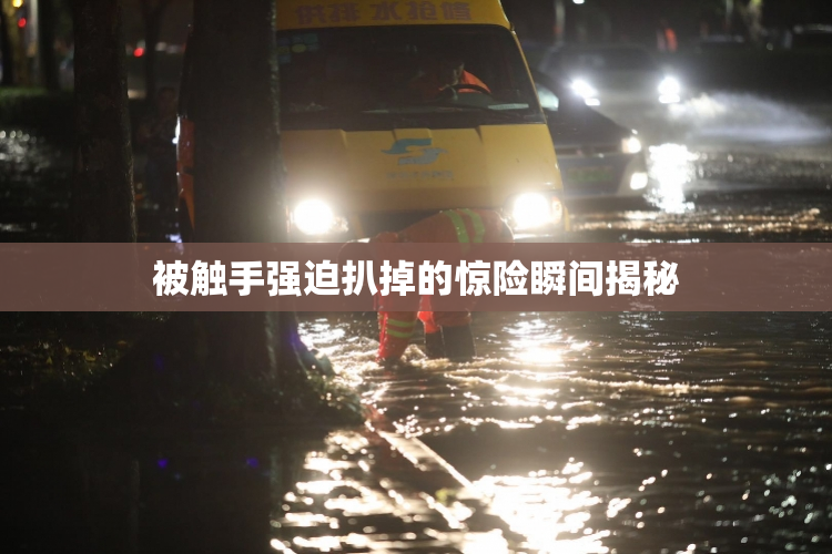 被触手强迫扒掉的惊险瞬间揭秘