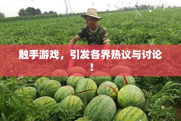 触手游戏，引发各界热议与讨论！