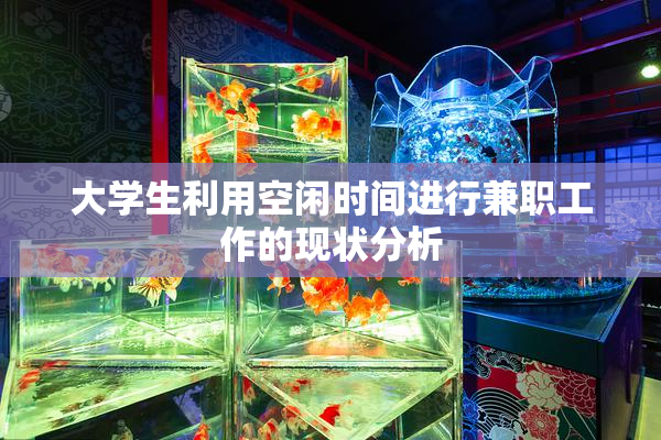 大学生利用空闲时间进行兼职工作的现状分析