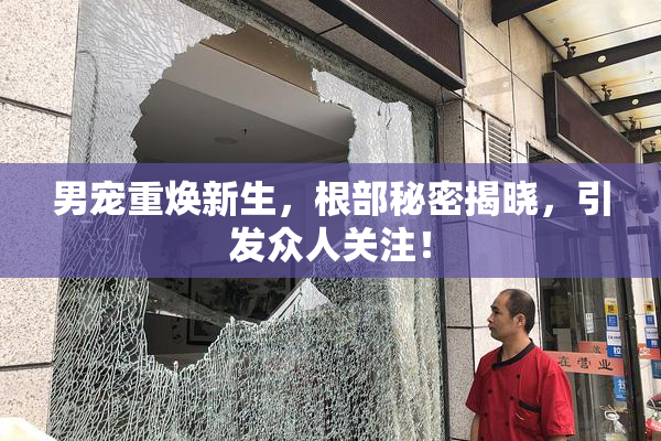 男宠重焕新生，根部秘密揭晓，引发众人关注！