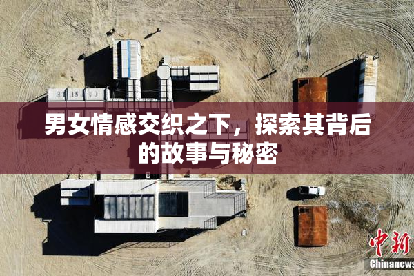 男女情感交织之下，探索其背后的故事与秘密
