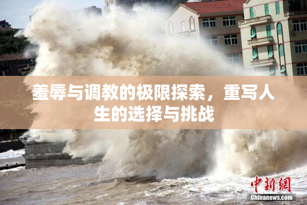 羞辱与调教的极限探索，重写人生的选择与挑战