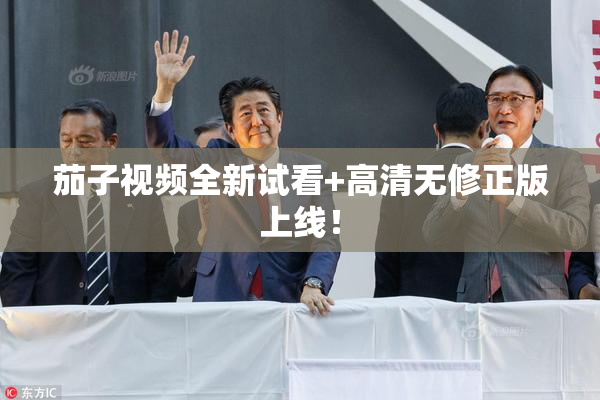 茄子视频全新试看+高清无修正版上线！