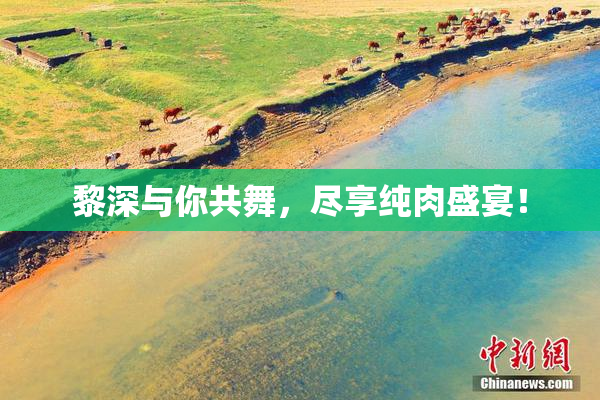 黎深与你共舞，尽享纯肉盛宴！