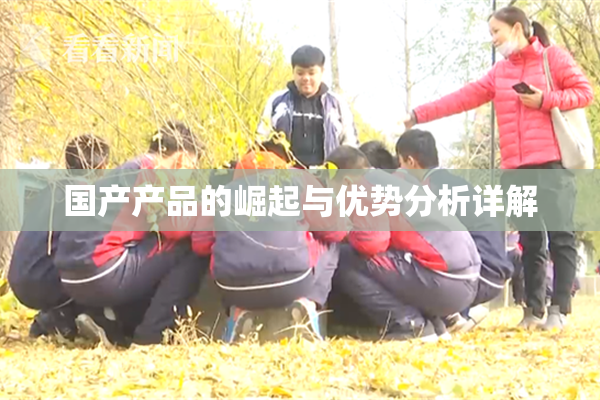 国产产品的崛起与优势分析详解