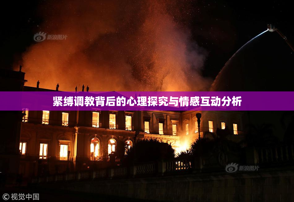 紧缚调教背后的心理探究与情感互动分析