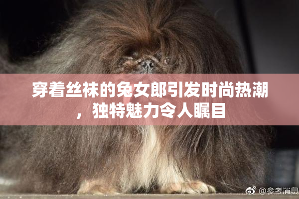穿着丝袜的兔女郎引发时尚热潮，独特魅力令人瞩目