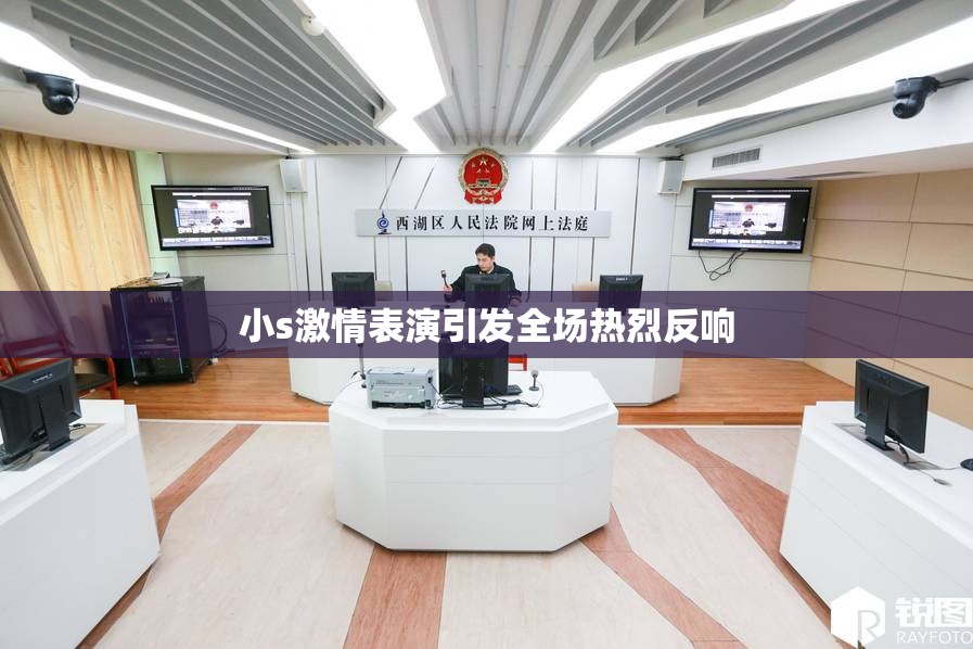 小s激情表演引发全场热烈反响