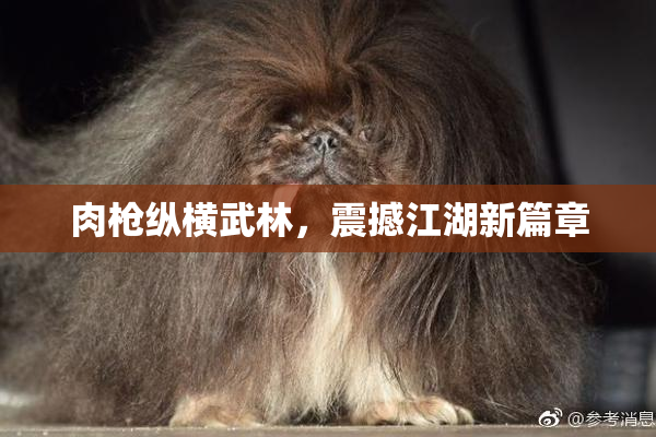 肉枪纵横武林，震撼江湖新篇章