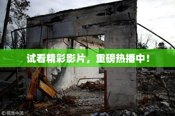 试看精彩影片，重磅热播中！