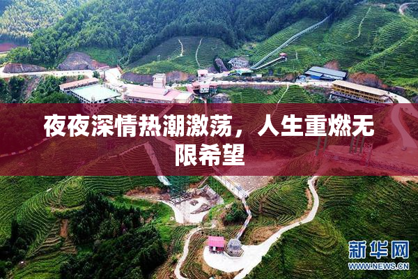 夜夜深情热潮激荡，人生重燃无限希望