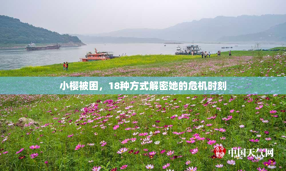 小樱被困，18种方式解密她的危机时刻
