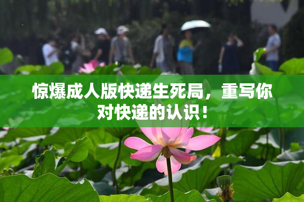 惊爆成人版快递生死局，重写你对快递的认识！