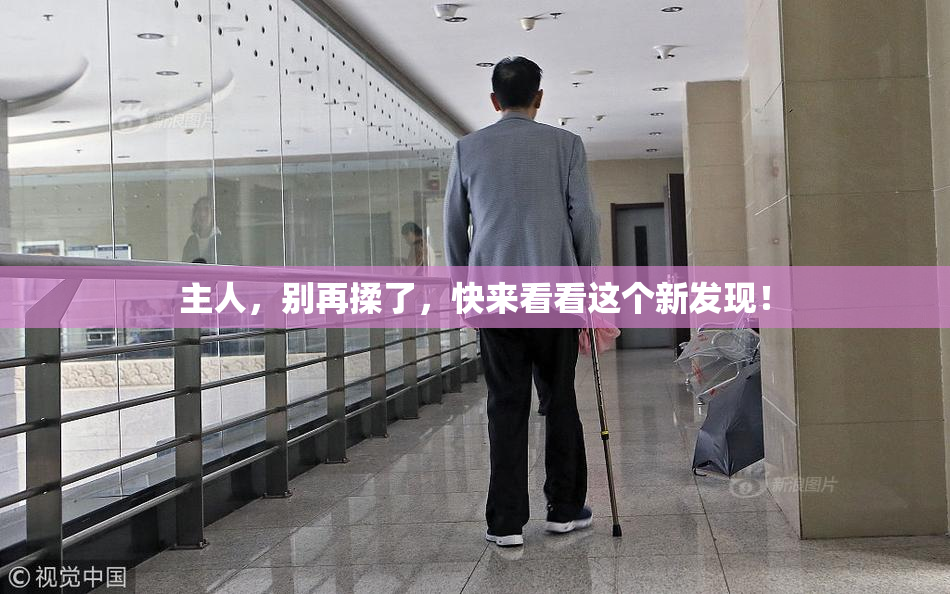 主人，别再揉了，快来看看这个新发现！