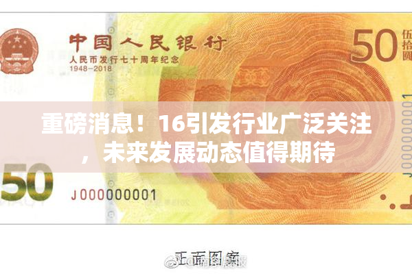 重磅消息！16引发行业广泛关注，未来发展动态值得期待