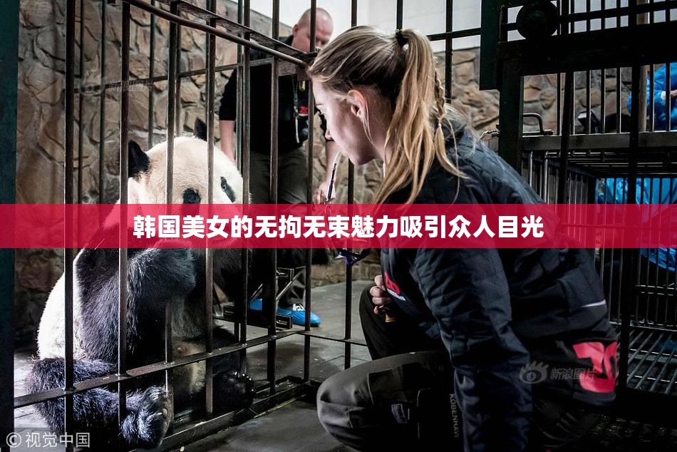 韩国美女的无拘无束魅力吸引众人目光
