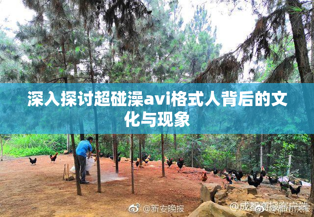 深入探讨超碰澡avi格式人背后的文化与现象