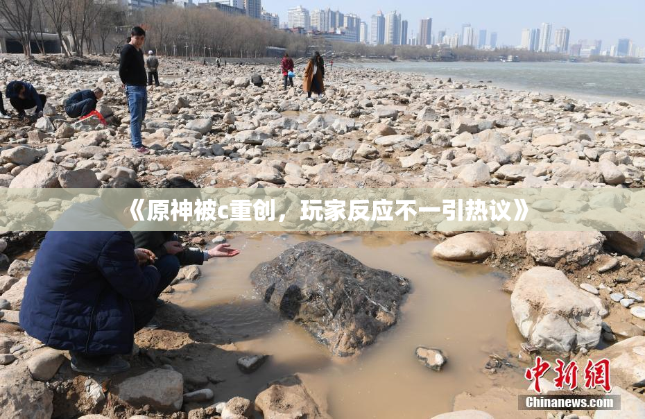 《原神被c重创，玩家反应不一引热议》