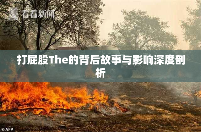 打屁股The的背后故事与影响深度剖析