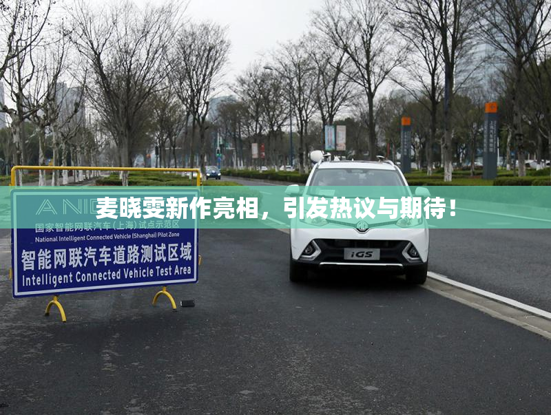 麦晓雯新作亮相，引发热议与期待！