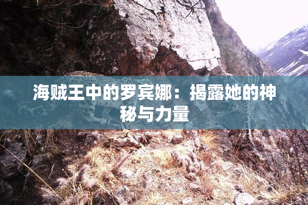 海贼王中的罗宾娜：揭露她的神秘与力量