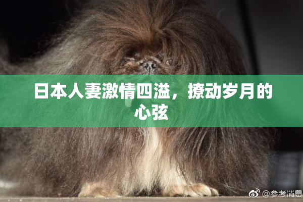 日本人妻激情四溢，撩动岁月的心弦