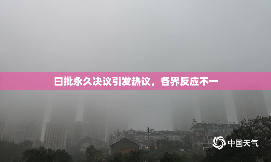 曰批永久决议引发热议，各界反应不一