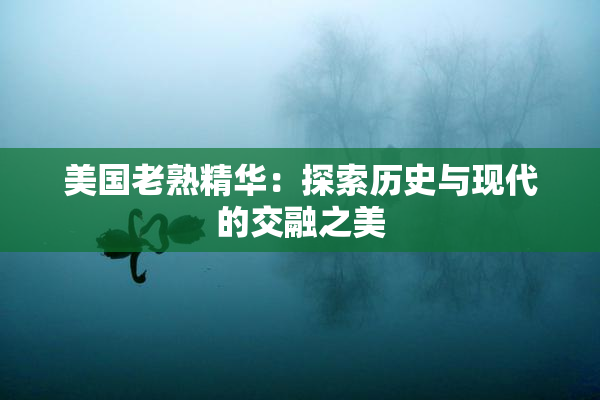 美国老熟精华：探索历史与现代的交融之美