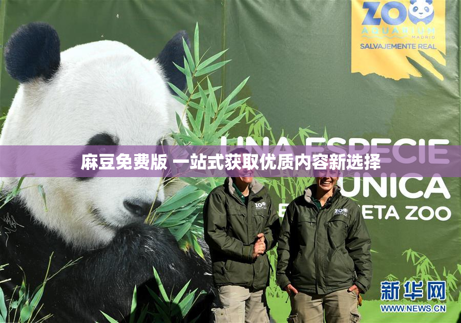 麻豆免费版 一站式获取优质内容新选择