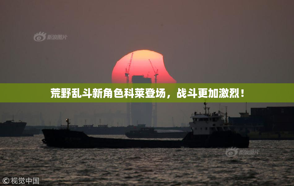 荒野乱斗新角色科莱登场，战斗更加激烈！