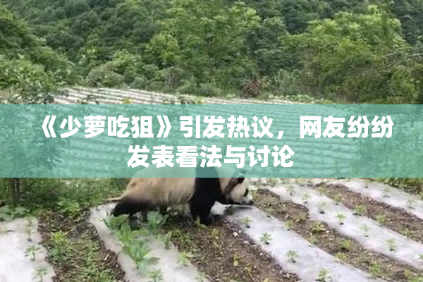 《少萝吃狙》引发热议，网友纷纷发表看法与讨论