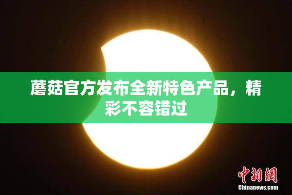 蘑菇官方发布全新特色产品，精彩不容错过