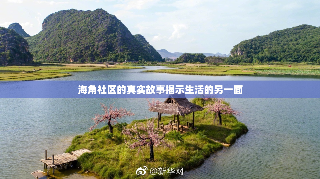 海角社区的真实故事揭示生活的另一面