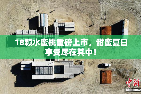 18颗水蜜桃重磅上市，甜蜜夏日享受尽在其中！