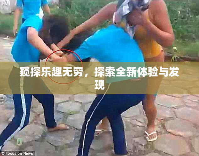 窥探乐趣无穷，探索全新体验与发现