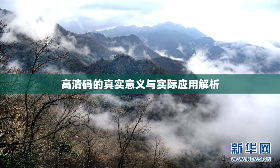 高清码的真实意义与实际应用解析