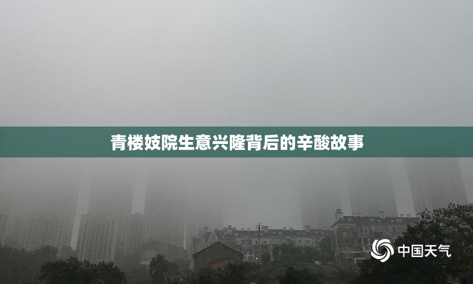 青楼妓院生意兴隆背后的辛酸故事