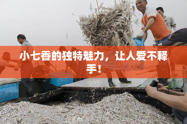 小七香的独特魅力，让人爱不释手！
