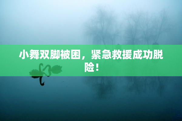 小舞双脚被困，紧急救援成功脱险！