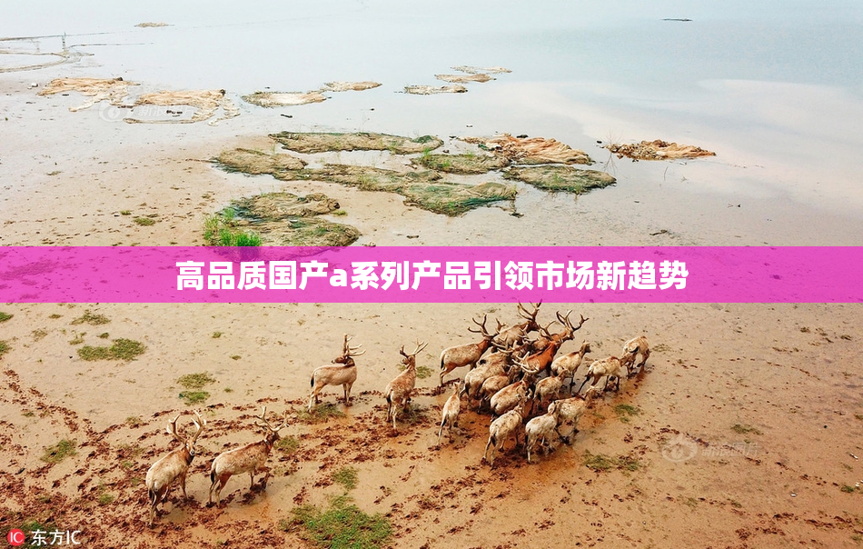 高品质国产a系列产品引领市场新趋势