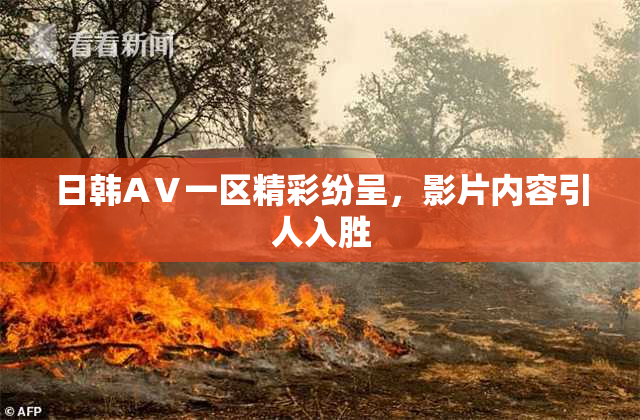 日韩AⅤ一区精彩纷呈，影片内容引人入胜