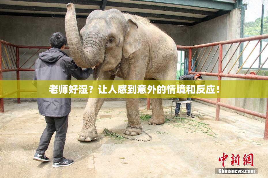 老师好湿？让人感到意外的情境和反应！