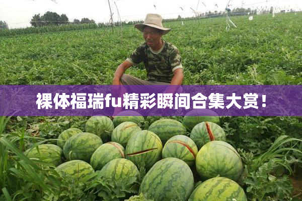 裸体福瑞fu精彩瞬间合集大赏！